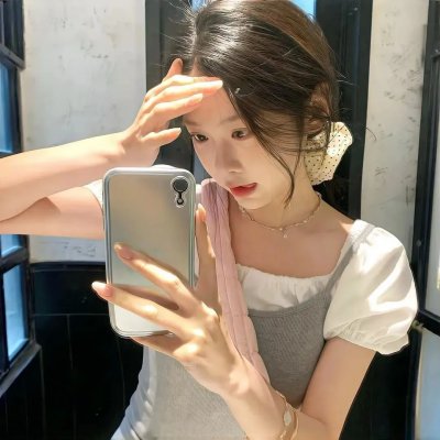 完美的独裁国家